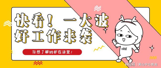 布如村最新招聘信息全面解析