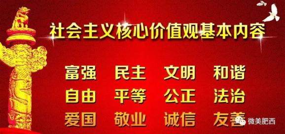 董家院村委会最新招聘信息与岗位介绍概览