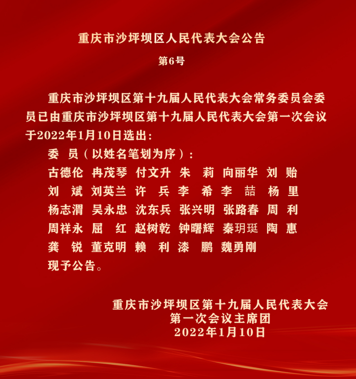 沙坪坝区人民政府办公室人事任命，引领未来核心力量，共筑发展新征程